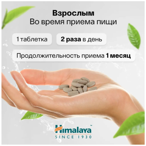 Indian Gooseberry (эмблика) для иммунитета, антиоксидант, 60 таблеток, HIMALAYA
