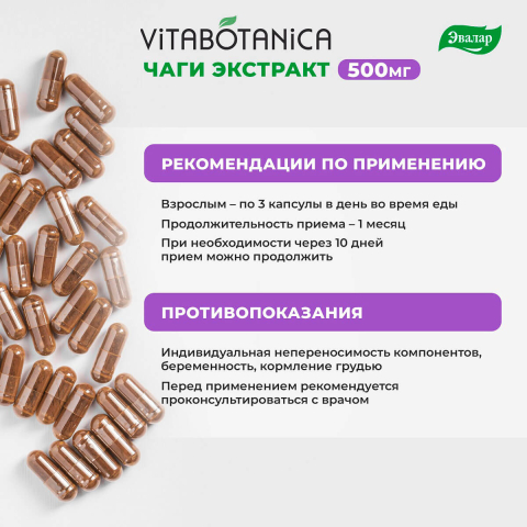 ВитаБотаника Экстракт Чаги, стандартизированный по хромогенному комплексу (30%), 90 капсул, Эвалар