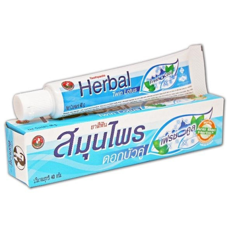 Зубная паста с травами Fresh&Cool, 40 гр, Twin Lotus